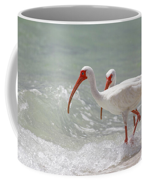 Naples Coffee Mug featuring the photograph White Ibis #6 by Peter Lakomy