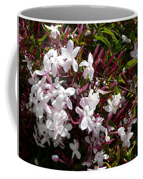 Flower Coffee Mug featuring the photograph Flower #62 by Mariel Mcmeeking