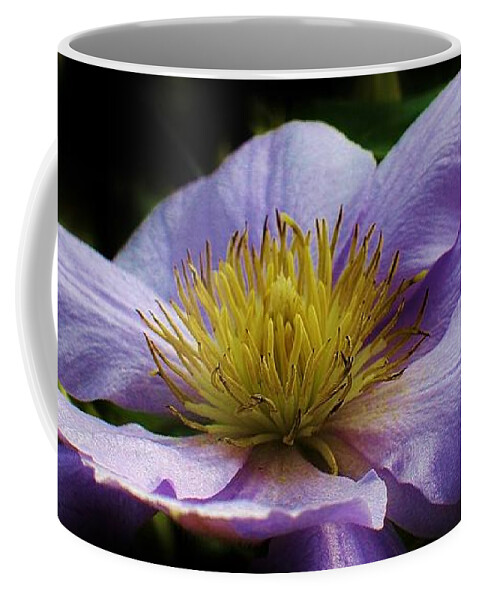 Flora Coffee Mug featuring the photograph Bathing in the Sun #7 by Bruce Bley