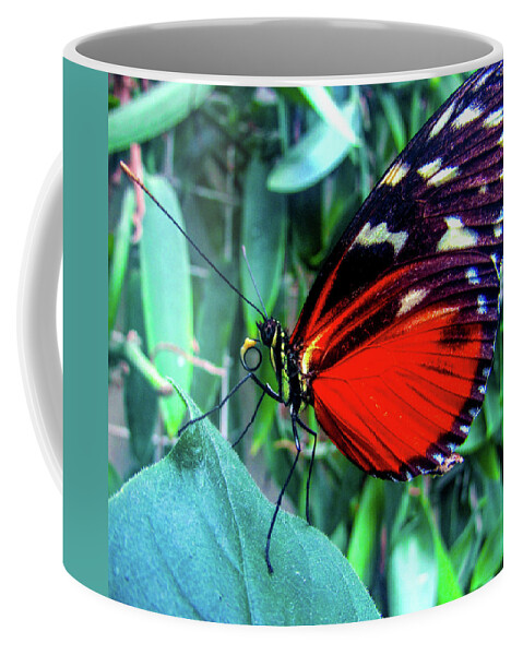 Mountain Coffee Mug featuring the photograph Butterfly #7 by Cesar Vieira