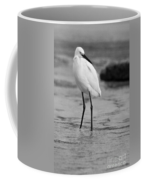  Coffee Mug featuring the photograph Egret in Black and White #7 by Angela Rath
