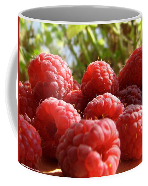 Raspberry Coffee Mug featuring the photograph Raspberry #7 by Mariel Mcmeeking