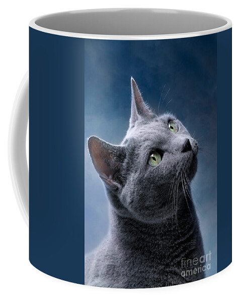 Russian Coffee Mug featuring the photograph Russian Blue Cat by Nailia Schwarz