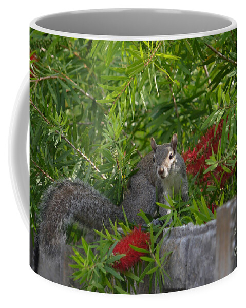 Squirrel Coffee Mug featuring the photograph 7- Squirrel by Joseph Keane