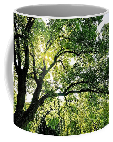 Tree Coffee Mug featuring the photograph Tree #7 by Jackie Russo