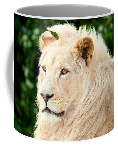 White Lion Coffee Mug featuring the photograph White Lion #7 by Jackie Russo