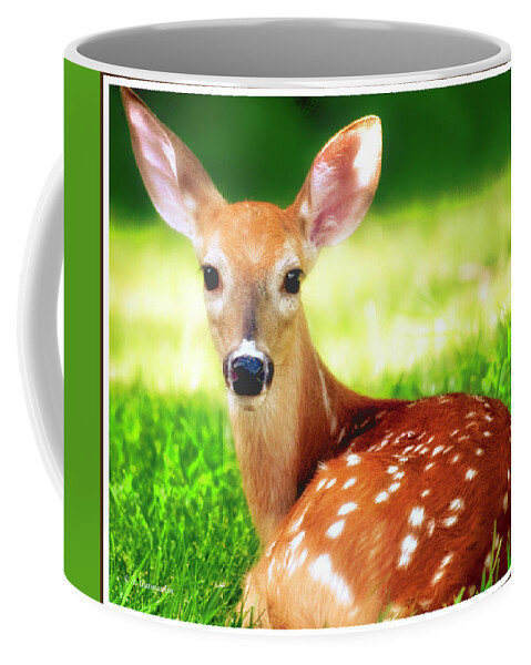 White-tailed Coffee Mug featuring the photograph White-tailed Deer Fawn #7 by A Macarthur Gurmankin