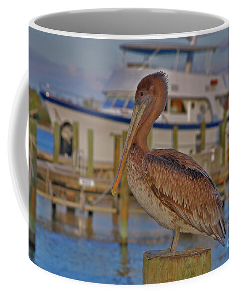 Brown Pelican Coffee Mug featuring the photograph 8- Brown Pelican by Joseph Keane