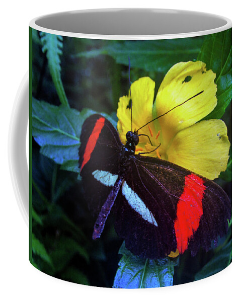 Mountain Coffee Mug featuring the photograph Butterfly #8 by Cesar Vieira