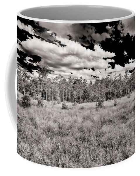 Everglades Coffee Mug featuring the photograph Florida Everglades #8 by Raul Rodriguez
