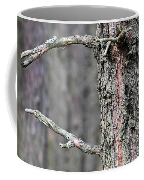 Forest Coffee Mug featuring the photograph Pine Tree #5 by Dariusz Gudowicz