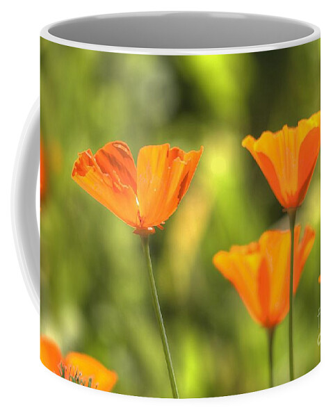 Poppies Coffee Mug featuring the photograph Poppies by Marc Bittan