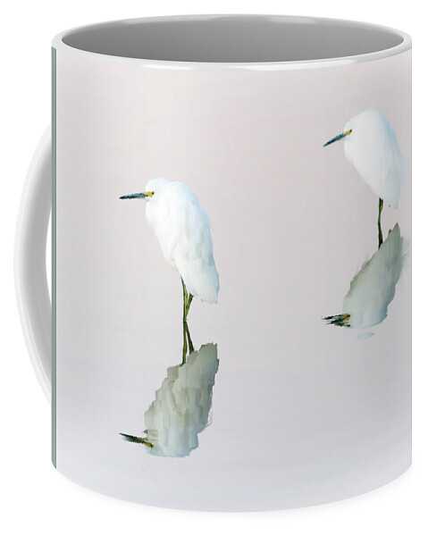 Snowy Coffee Mug featuring the photograph Snowy Egret #82 by Tam Ryan