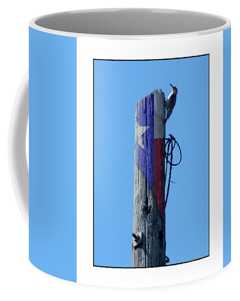 Barbara Tristan Coffee Mug featuring the photograph #8667 Woodpecker #8667 by Barbara Tristan