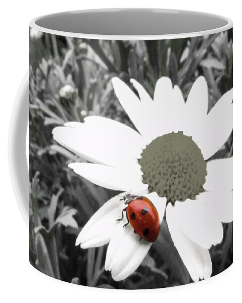Daisy Flower Coffee Mug featuring the photograph Ladybug #9 by Cesar Vieira