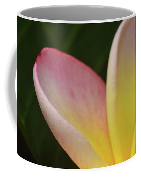 Photograph Coffee Mug featuring the photograph Plumaria #9 by Larah McElroy