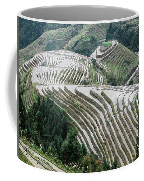 Scene Coffee Mug featuring the photograph Terrace fields scenery in spring #9 by Carl Ning
