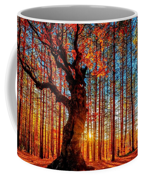 Tree Coffee Mug featuring the photograph Tree #9 by Jackie Russo