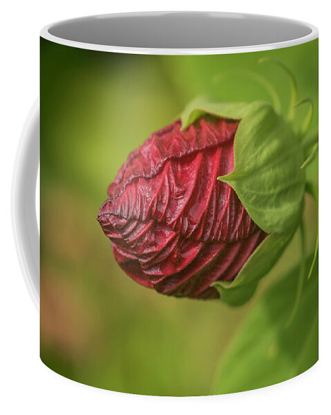 Hibiscus Rosa-sinensis Coffee Mug featuring the photograph A Beautiful Begining by Thomas Young