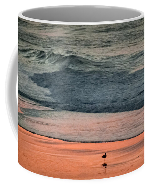 Beaches Coffee Mug featuring the photograph A Bird's Eye View by Karen Wiles