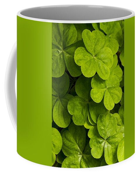 Clover Coffee Mug featuring the photograph A bit of green by Carrie Cranwill