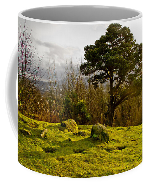 Pine Coffee Mug featuring the photograph A bit of sun for the lonely pine. by Elena Perelman