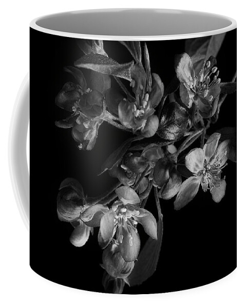 Flower Coffee Mug featuring the photograph A Black And White Spring by Mike Eingle