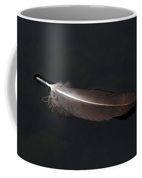 Feather Coffee Mug featuring the photograph A Black Vulture Feather Floating on the Swanee river by John Harmon