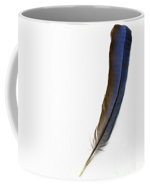 Blue Coffee Mug featuring the photograph A Blue Feather by Masako Metz