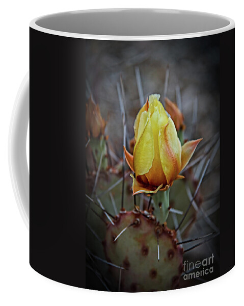 Cactus Coffee Mug featuring the photograph A Bud In The Thorns by Robert Bales