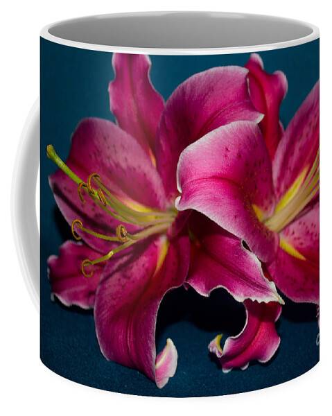 Lily Coffee Mug featuring the photograph A Bunch of Beauty Floral by Roberta Byram