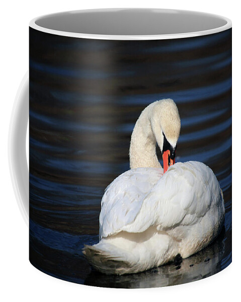 Swan Coffee Mug featuring the photograph A Busy Swan by Karol Livote