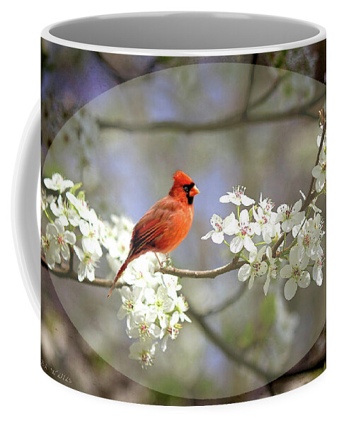 Bird Coffee Mug featuring the photograph A Cardinal in a Pear Tree 2 by Bonnie Willis