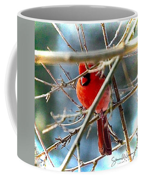 Cardinal Coffee Mug featuring the photograph A Cardinal Rule by Shawn M Greener