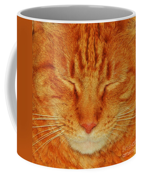 Cat Animal Pet Feline Tabby Orange Love Photo Digital Jan Gelders Photography Coffee Mug featuring the photograph A Cat Portrait by Jan Gelders