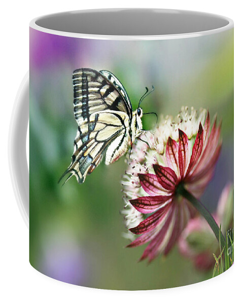 Butterfly Coffee Mug featuring the photograph A Delicate Touch by Morag Bates