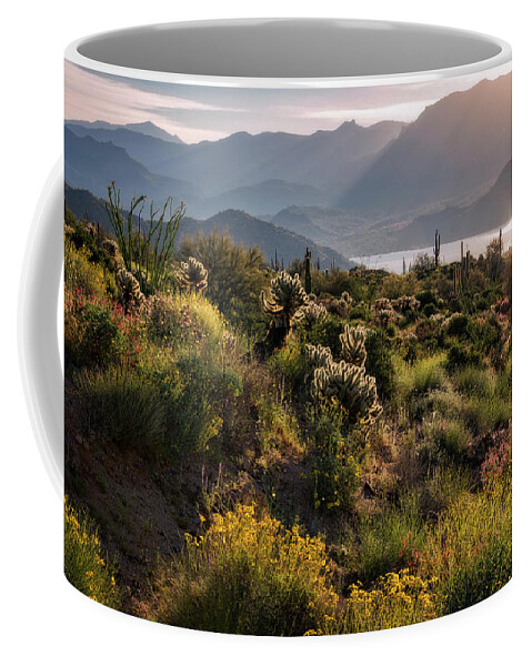 Arizona Coffee Mug featuring the photograph A Desert Spring Morning by Saija Lehtonen