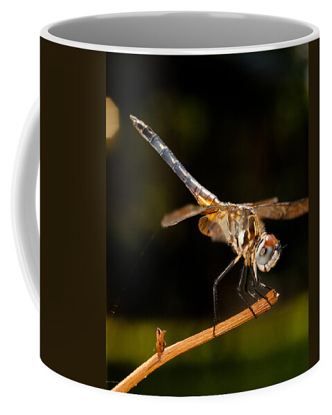 Dragonfly Coffee Mug featuring the photograph A Dragonfly by Christopher Holmes