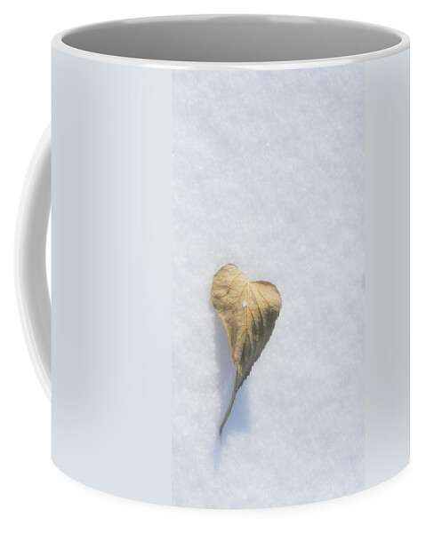 Heart Coffee Mug featuring the photograph A Fading Heart by Julie Lueders 