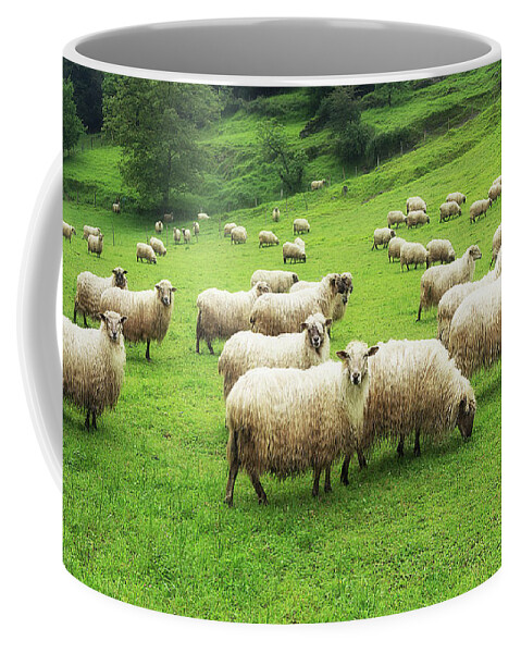 Sheep Coffee Mug featuring the photograph A flock of sheep by Mikel Martinez de Osaba