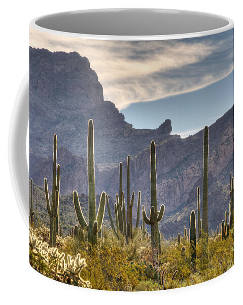 Saguaro Coffee Mug featuring the photograph A Forest of Saguaro Cacti by Vivian Christopher