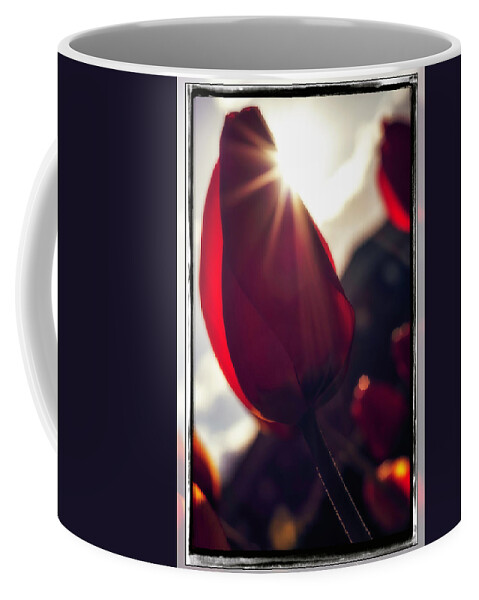 Background Coffee Mug featuring the photograph A fresh scent of spring by Eduard Moldoveanu