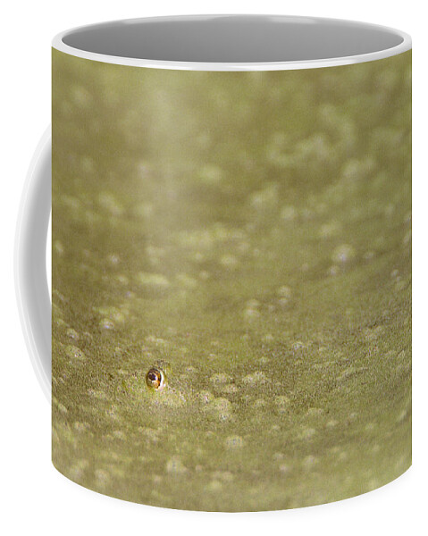 Amphibian Coffee Mug featuring the photograph A Frogs Eye in Pond Muck by John Harmon