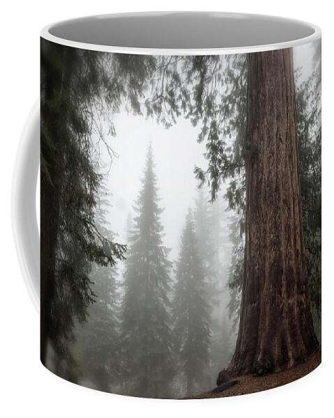 Sequoias Coffee Mug featuring the photograph A Giant in the Fog by Belinda Greb