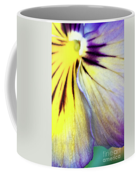 Close-ups Coffee Mug featuring the photograph A Glance by Marilyn Cornwell
