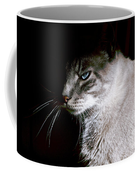 Cat Coffee Mug featuring the photograph A Glare by Rachel Morrison