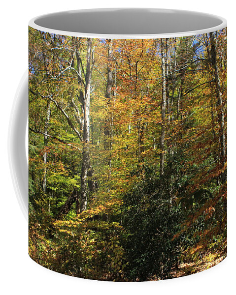 Fall Coffee Mug featuring the photograph A Glimpse of Fall by Karen Ruhl