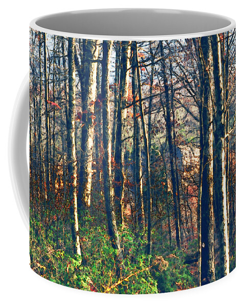 Nature Coffee Mug featuring the photograph A late Autumn Walk in the Woods by Stacie Siemsen