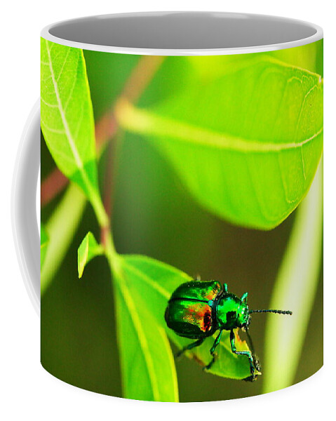 Beatle Coffee Mug featuring the photograph A little red Beatle by Jeff Swan