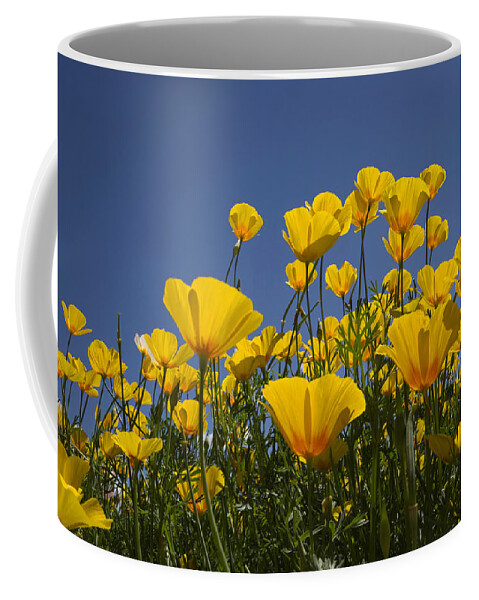 Face Mask Coffee Mug featuring the photograph A Little Sunshine by Lucinda Walter